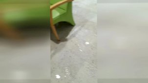 Depremzede Aile Hekimlerine Destek Talebi