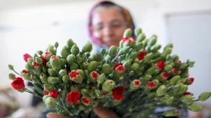 Dünya Kadınlar Günü nasıl ortaya çıktı, nedir? Dünya Kadınlar Günü ne zaman ve hangi gün?