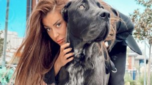 Fenomen Banu Parlak hakkında yeni şikayet: Köpeği, cins köpeği parçaladı!