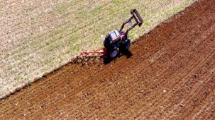 Geçen yılın bitkisel ürün denge tabloları açıklandı! En yüksek yeterlilik derecesi fındıkta
