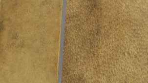 Harvard'daki insan derisi ile kaplanan kitabın cildi sökülecek