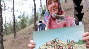 Kahramanmaraş'ta çorak arazi, 45 yılda ormana dönüştü
