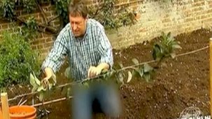 Kuzey Kore'de devlet televizyonu kot pantolonunu sansürledi