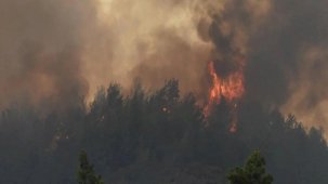 Meksika'da 15 eyalette 58 orman yangını: Bin 421 hektarlık ormanlık alan küle döndü