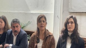 Meral Danış Beştaş: Kendimize oy verelim, başkasına değil