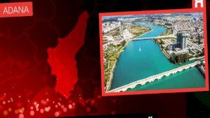 PFDK, Caner Erkin'e 6 maç ceza verdi