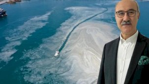 Prof. Dr. Mustafa Sarı, Marmara Denizi'ndeki kirlilik ve müsilaj için uyardı: 50 yılda 19 balık türü kayboldu