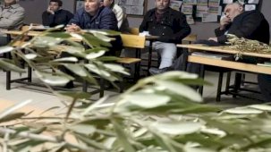 Sarıgöl'de Zeytin Bakımı ve Budama Kursu Açıldı