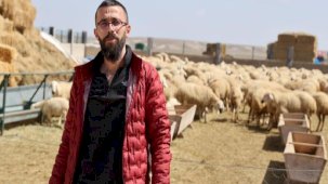 Sivaslı çiftçi, 42 bin TL maaş ve konforlu şartlara rağmen çoban bulamıyor