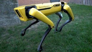 Tarihte bir ilk: Robot köpek silahlı çatışma sırasında vuruldu