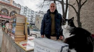 Trabzon'da bağış kutusuna atılan paralarla sahipsiz kediler besleniyor