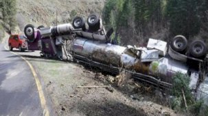 ABD'de 25 binden fazla somon balığı trafik kazasında öldü