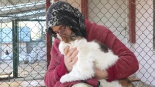 Ankara'da evinin bir katını sokak kedilerine yuva yaptı