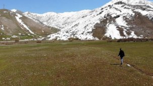 Bitlis'e bahar geldi: Kardelenlerden görsel şölen