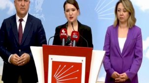 CHP'li Gökçen: Hatay'da 1455 oyumuz yazılmadı