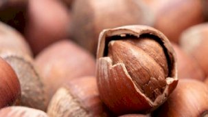 Fındık ihracatı arttı