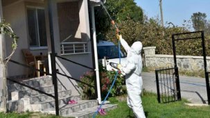 Kahverengi kokarca ile mücadele sürüyor: 40 bin noktada ilaçlama yapıldı