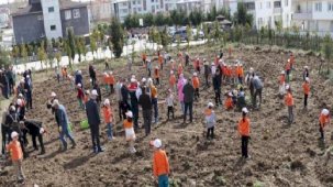'Okuldaki Çiftlik Projesi' meyvelerini vermeye başladı! Okul bahçesine fidanlar dikildi