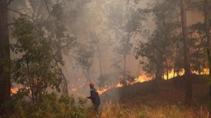 Yunanistan'da orman yangını: Katerin'den alevler yükseldi