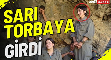 Vahide Atalay'ın Etkisiz Hale Getirildi