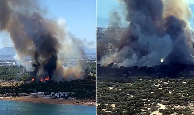 Antalya'da orman yangını! Bölgeye ekipler sevk edildi