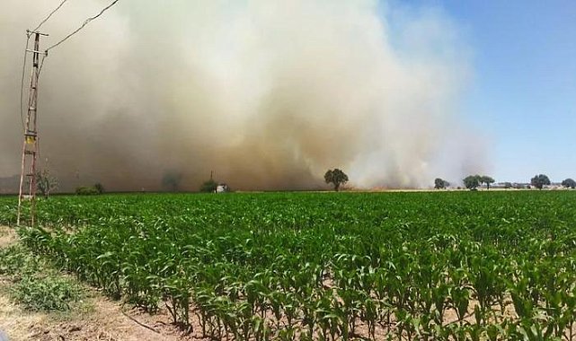 Çanakkale'de orman yangını! Havadan ve karadan müdahale ediliyor