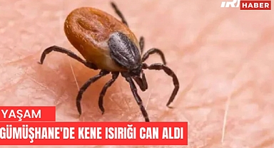 Gümüşhane'de Kene Isırığı Can Aldı: Genç Çoban Alaattin Uzuntürk Hayatını Kaybetti