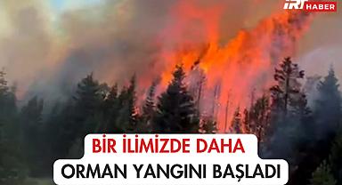 Bir İlimizde Daha Orman Yangını Başladı