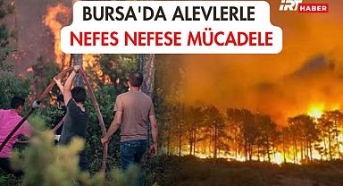 Bursa'da Alevlerle Nefes Nefese Mücadele