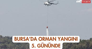 Bursa'da Orman Yangını 5. Gününde