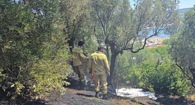 Bursa'da Yangın Alarmı! Alevler Buğday Tarlasına Dayandı