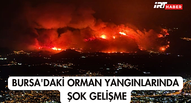 Bursa'daki Orman Yangınlarında Şok Gelişme