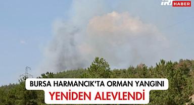 Bursa Harmancık'ta Orman Yangını Yeniden Alevlendi
