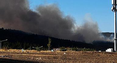 Bursa'nın Gürsu İlçesinde Korkutan Yangın! Müdahale Sürüyor