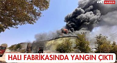 Halı Fabrikasında Yangın Çıktı