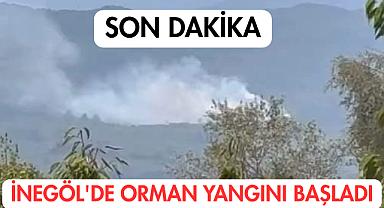İnegöl'de Orman Yangını Başladı