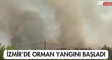 İzmir'de Orman Yangını Başladı