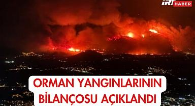 Orman Yangınlarının Bilançosu Açıklandı