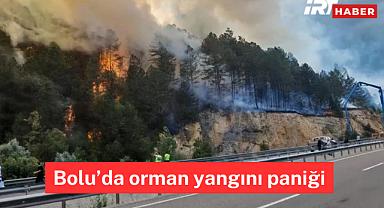 Bolu'da orman yangını paniği: Mengen-Devrek karayolu ulaşıma kapatıldı