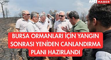 Bursa'da Orman Yangınlarının İzini Silecek Yol Haritası Belirlendi