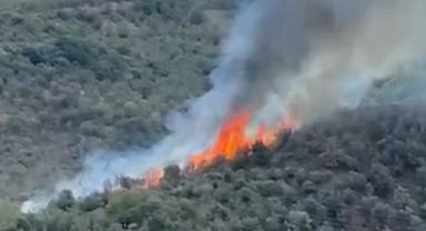 Bursa Mudanya'da Orman Yangını: Alevler Hızla Büyüyor
