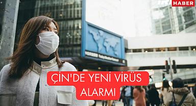 Çin'de Yeni Virüs Alarmı: 7 Binden Fazla Chikungunya Vakası! ABD'den Seyahat Uyarısı