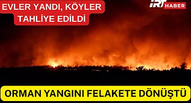EDİRNE'DE ORMAN YANGINI FELAKETE DÖNÜŞTÜ: EVLER YANDI, KÖYLER TAHLİYE EDİLDİ
