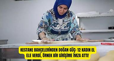 Kestane Bahçelerinden Doğan Güç: 12 Kadın El Ele Verdi, Örnek Bir Girişime İmza Attı!