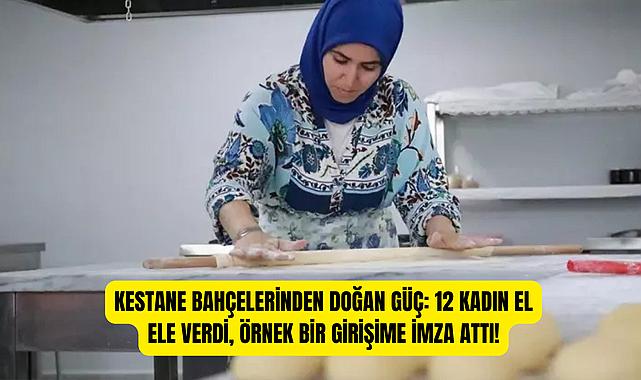 Kestane Bahçelerinden Doğan Güç: 12 Kadın El Ele Verdi, Örnek Bir Girişime İmza Attı!