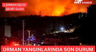 Osmaniye’de Acı Kayıp! Orman Yangınına Müdahalede 1 İşçi Şehit