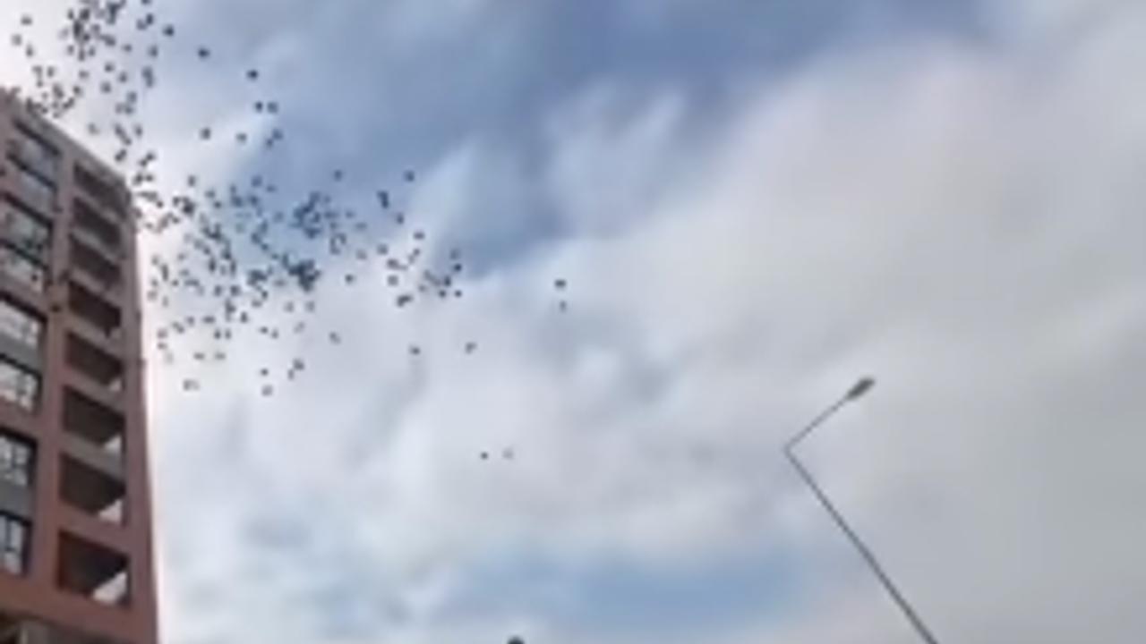 Atış Yapı Mağdurları siyah balonlarla seslerini duyurdu
