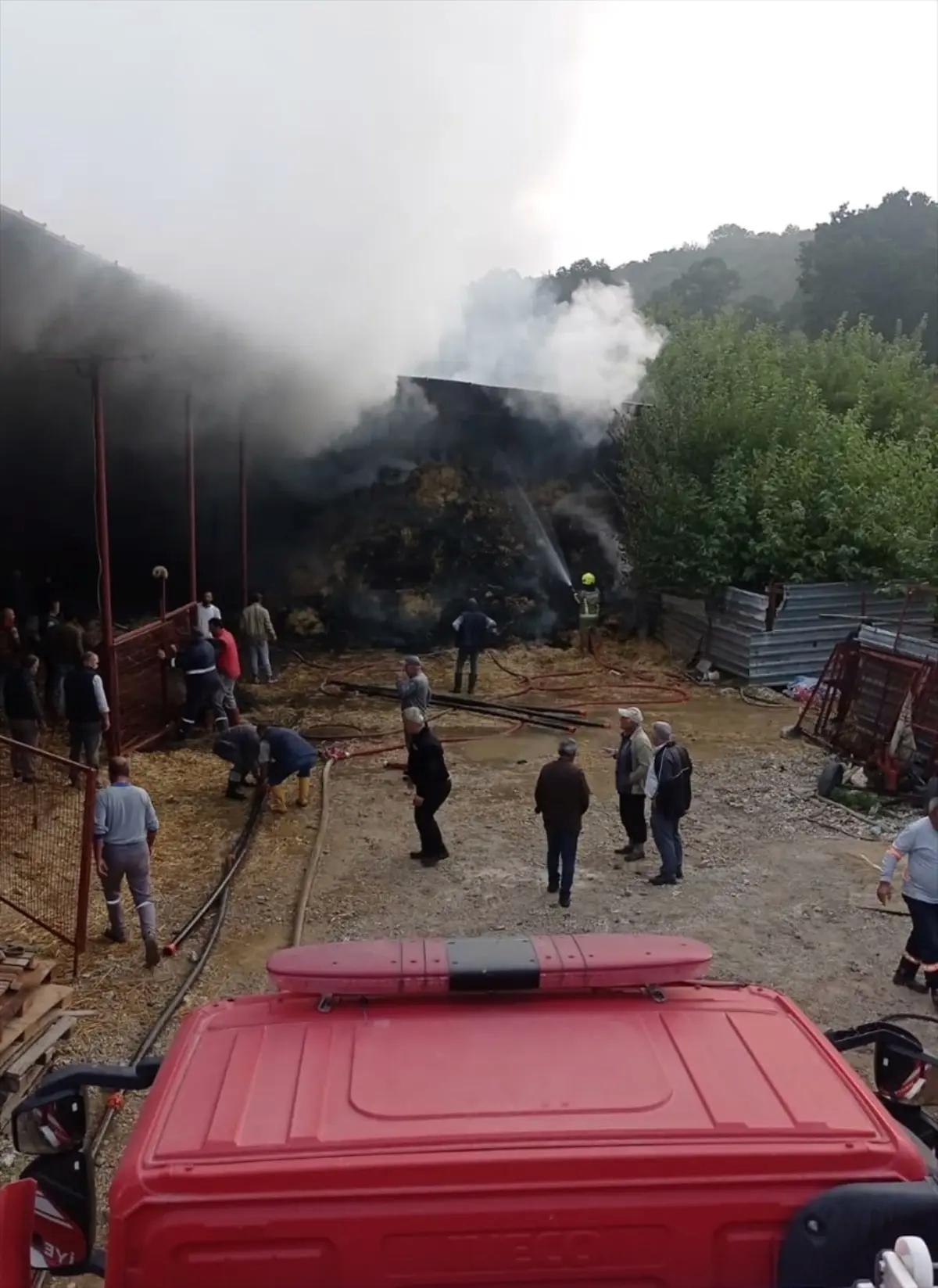 Bursa'da Ahır Yangını: 170 Küçükbaş Hayvan Telef