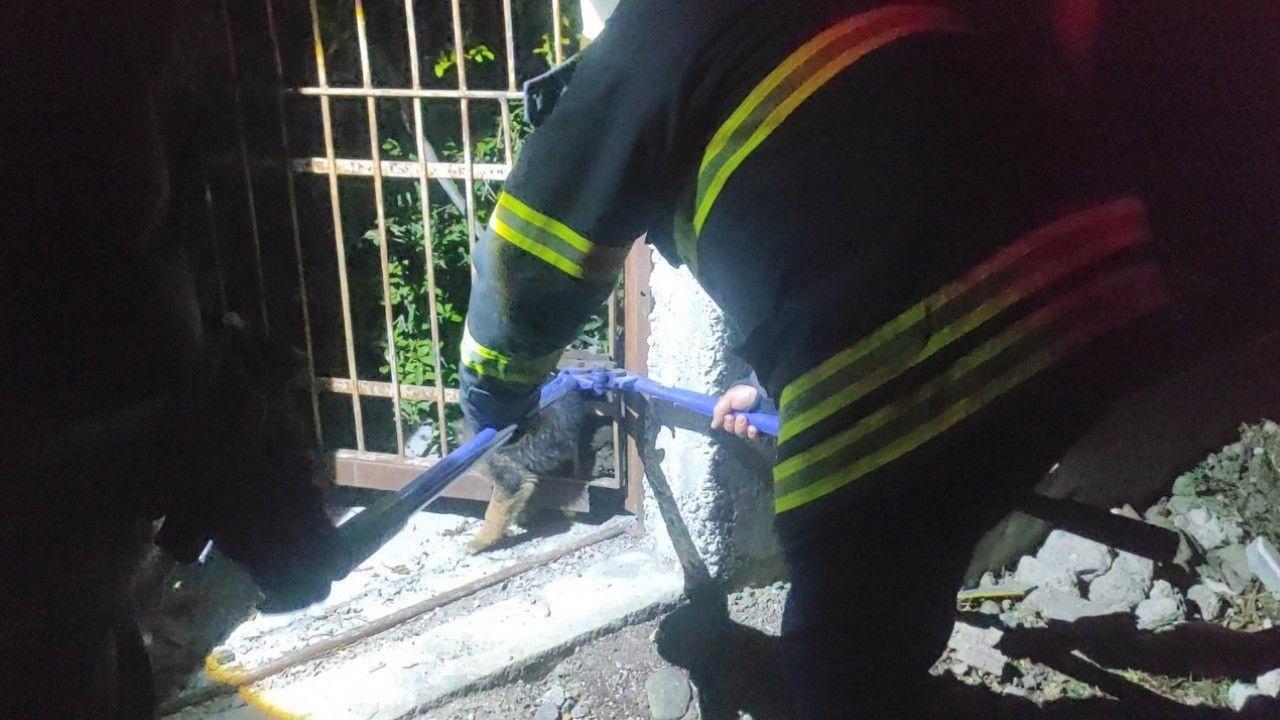 Demir korkuluklara sıkışan yavru köpek itfaiye takımlarınca kurtarıldı