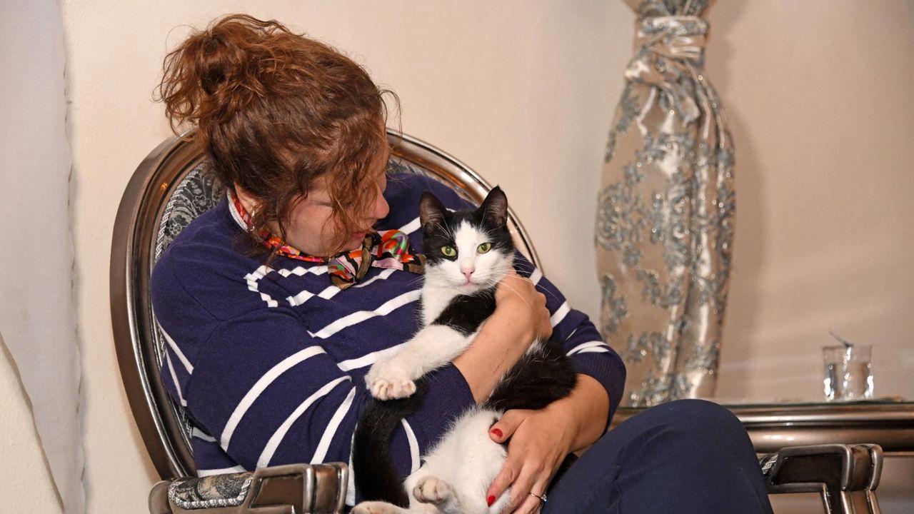 Edebiyatseverler Kedili Tekke’de Buluştu